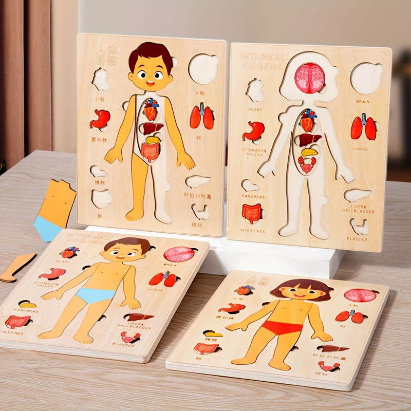 Human Body Puzzle - Juego de rompecabezas de anatomía Montessori