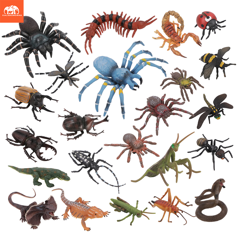 Kids Educational Box - Set de Figuras de Acción de