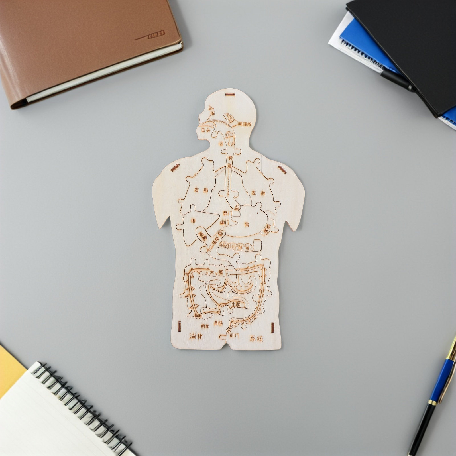 Juego Educativo de 3 Piezas de - Human Body Puzzle reseña y precio