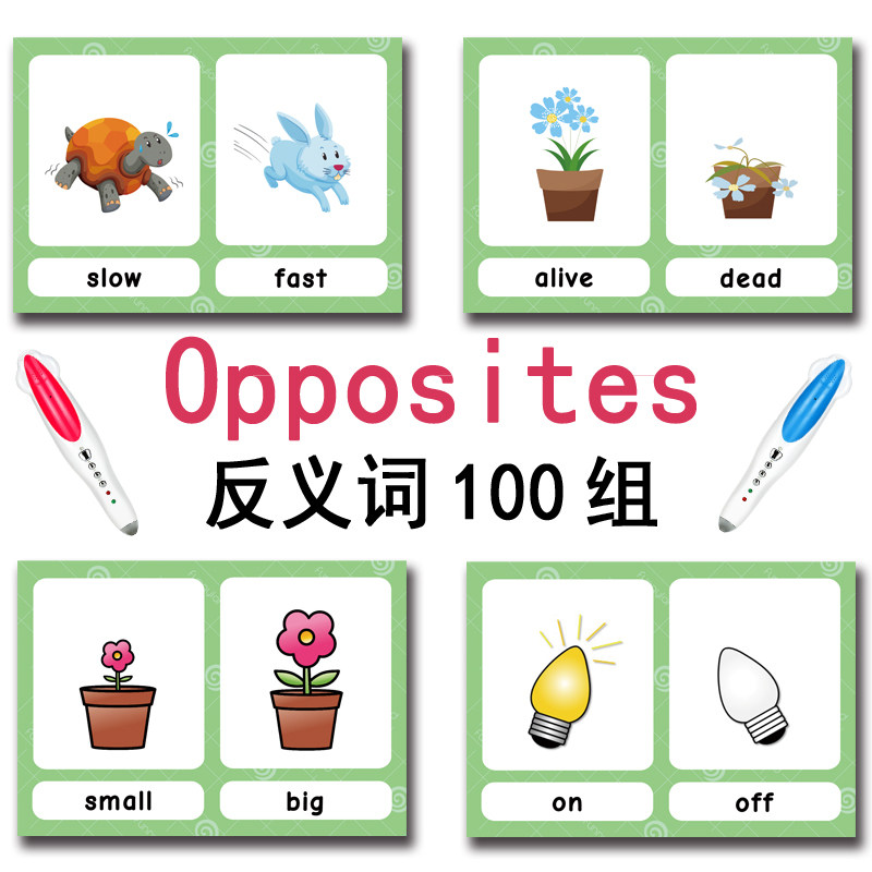 Tarjetas de memoria con 100 gr - Kids Education And You reseña y precio