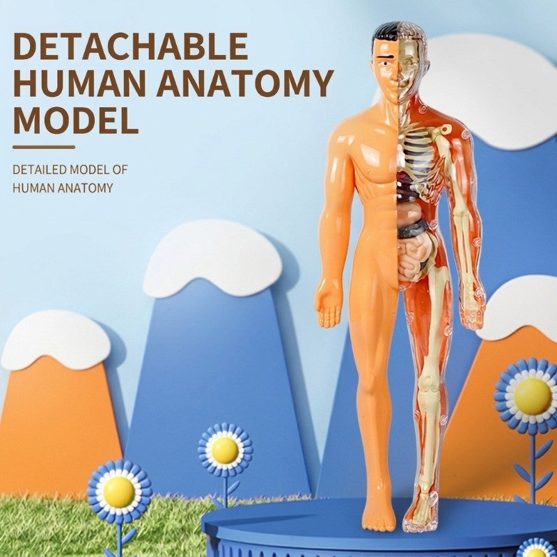 Kit de Experimentos Científico - Human Body Puzzle reseña y precio