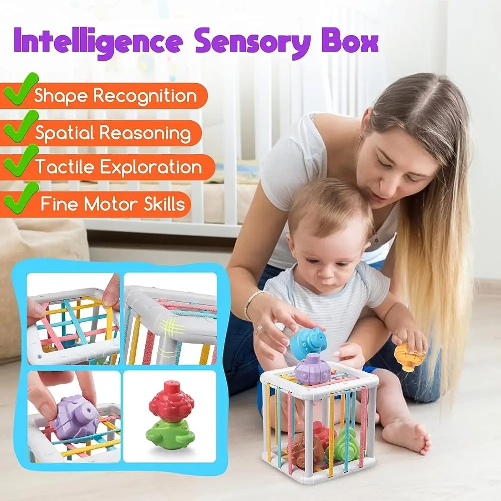 Cubo de Clasificación de Forma - Kids Educational Device reseña y precio