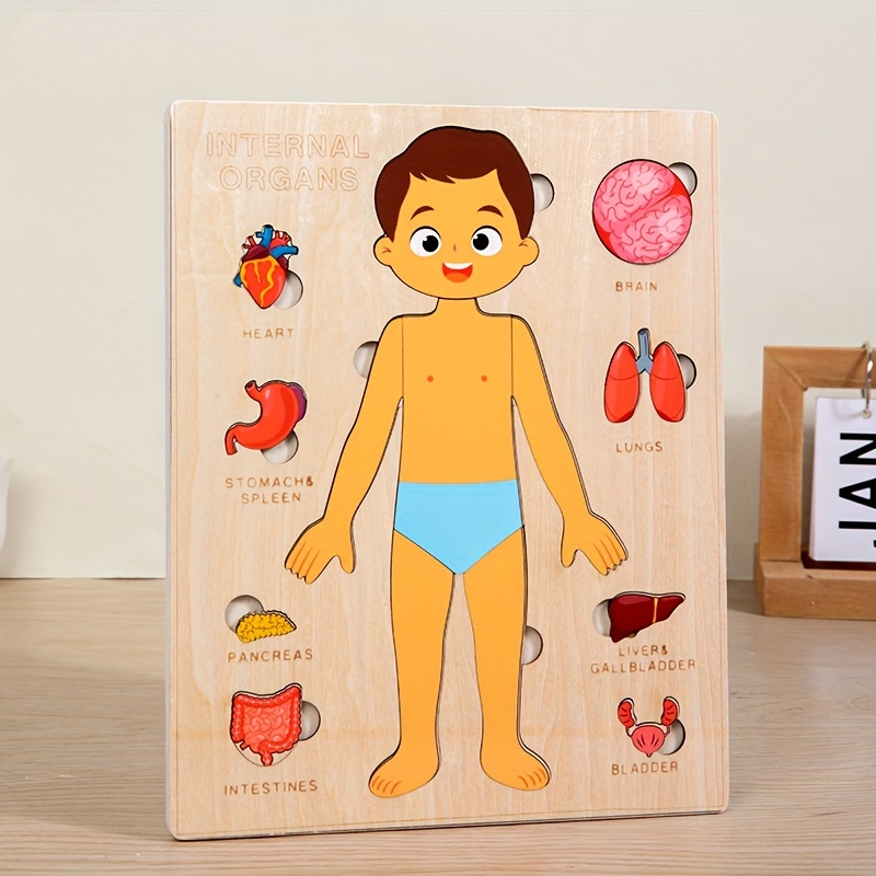 Juego de rompecabezas de anato - Human Body Puzzle reseña y precio