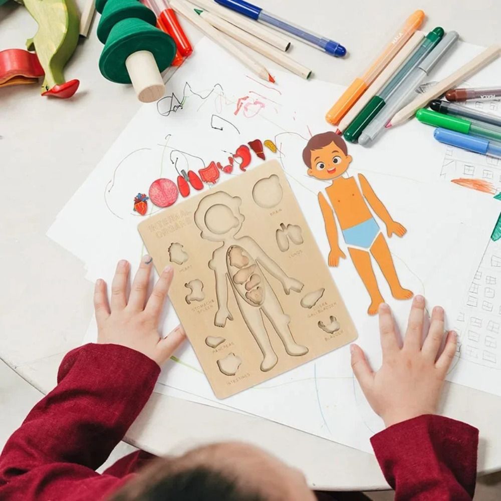 NUEVO Tablero de Aprendizaje M - Human Body Puzzle reseña y precio