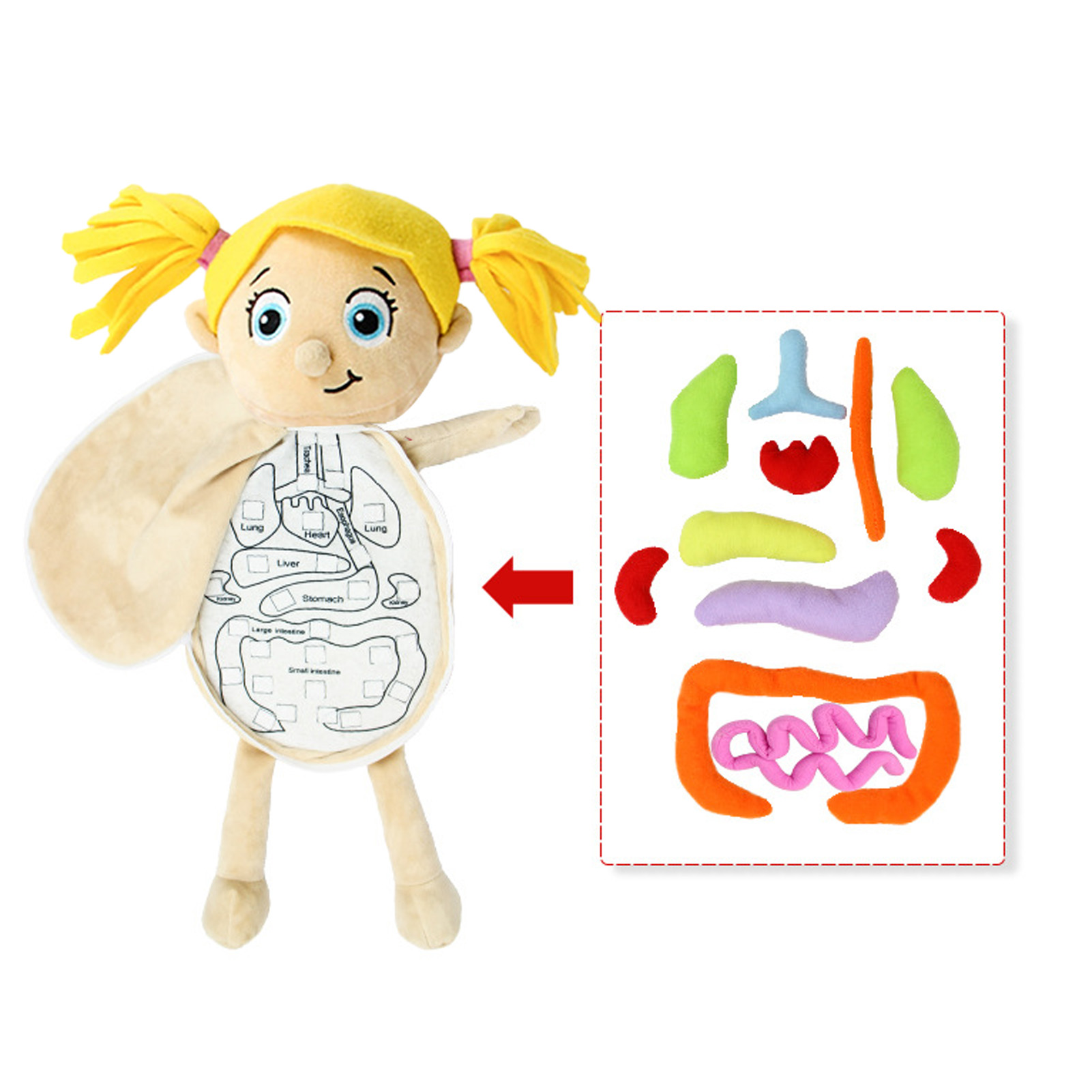 Juguetes Montessori para chico - Human Body Puzzle reseña y precio