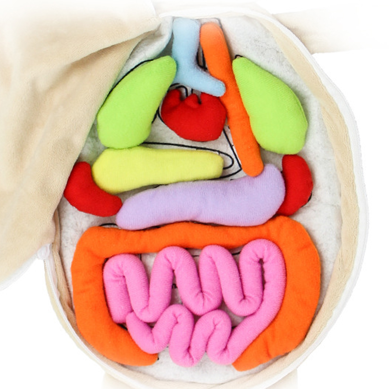Juguetes Montessori para chico - Human Body Puzzle reseña y precio