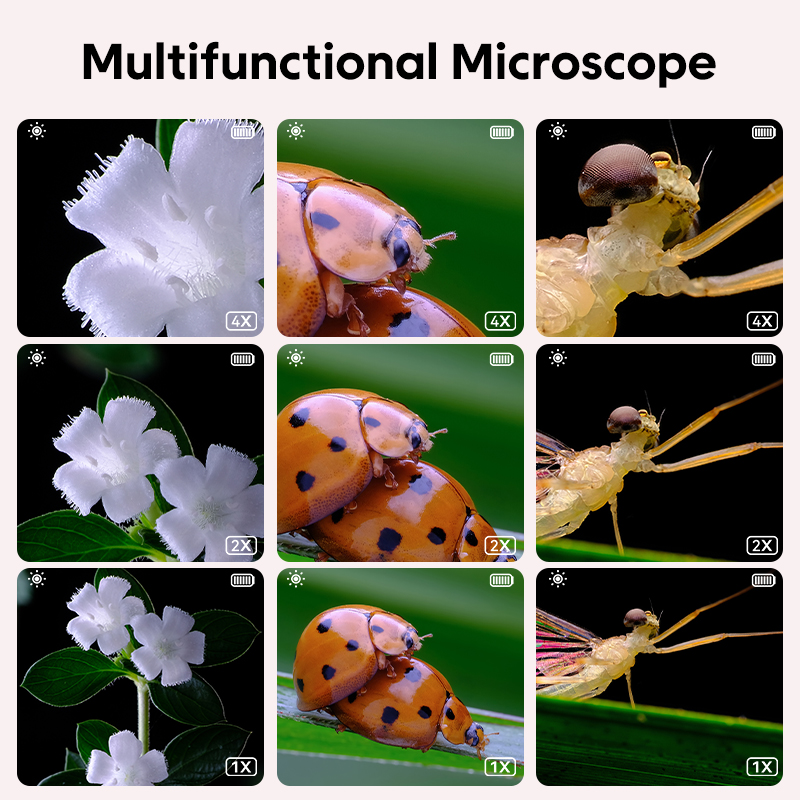 Mini microscopio óptico para n - Kids Educational Videos reseña y precio